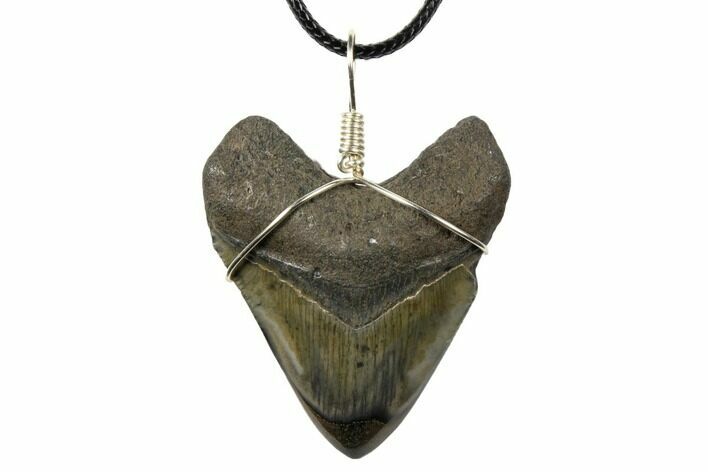 Fossil Megalodon Tooth Necklace #130980